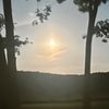 susidbdh8
