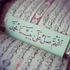 user4100618004225