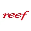 reef.telecom