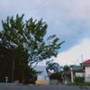 manusia_.hidup2