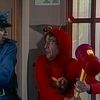 chapulincolorada