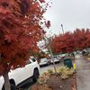 milasbackup677