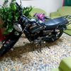 pigui686