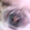 user2428613341167