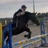 fayeandhorses__
