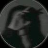 e_250256
