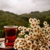 berna.figen.akll