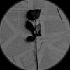 pulse_of_feeling_271