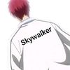 sky_walker472