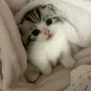 lizatatata