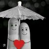 user5042408308416