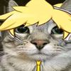 lucaschan528