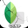 gsnp