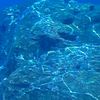 water17200