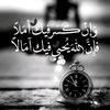 user88118414790433