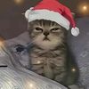 christmes22