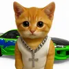 КОШАЧИЙ ФОРСАЖ