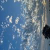 linoy_5183