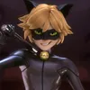 catnoir169