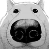user503812049432