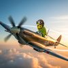 budgie_commander