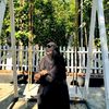 shika.akter404