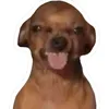 ur_jemmmmm