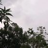 nabila08016