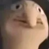 adhhdfykydjsjtjtssy