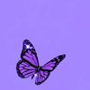 zaina_994