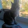 elenochka0860