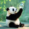 Panda QIU