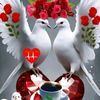 user5620949480153