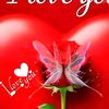 sunita83308