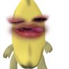 lyy_sein