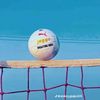 sottingvolleyball