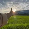 peydayepenhan1