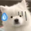 ngbth11111