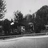 musayev_806