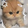 h_lover242