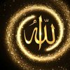 user8519521626295