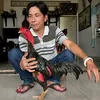 cuonggadon