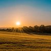 sunrise1709