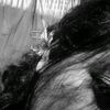 jila_96