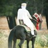 anouranour376