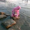 ma.fatema21