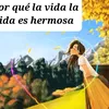 betyrc0