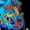 salm82114