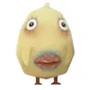 buoifto