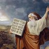 moshe3337